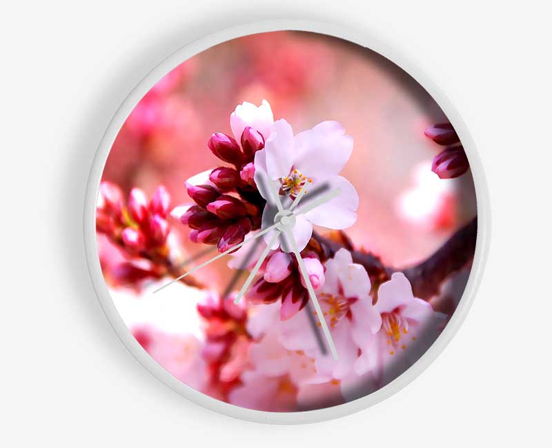 Cherry Blossom Buds Clock - Wallart-Direct UK