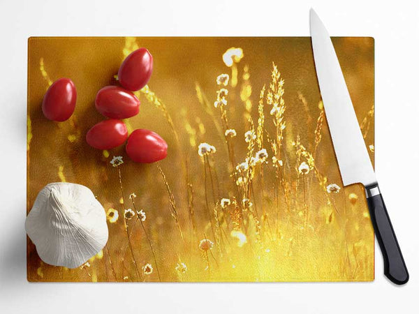 Summer Sunlight Over Field Glass Chopping Board