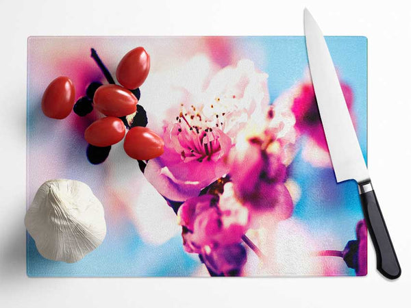 Beautiful Cherry Blossom Glass Chopping Board