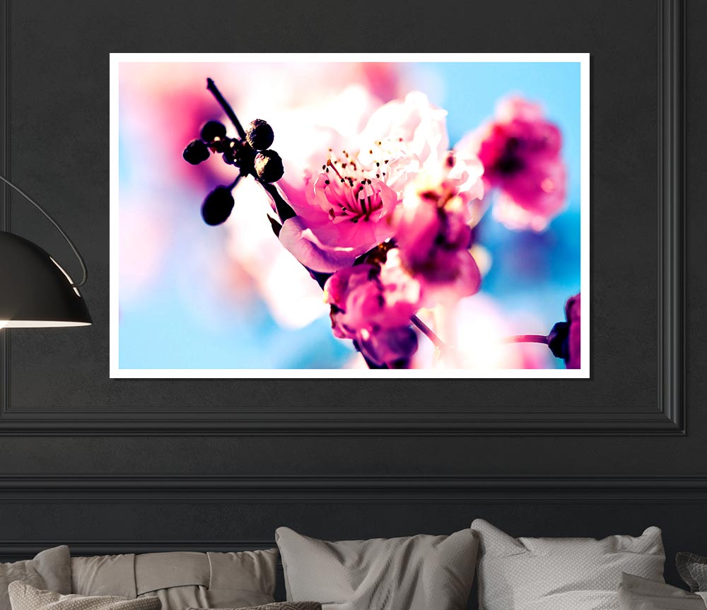 Beautiful Cherry Blossom Print Poster Wall Art