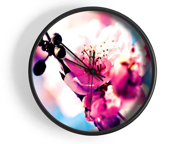 Beautiful Cherry Blossom Clock - Wallart-Direct UK