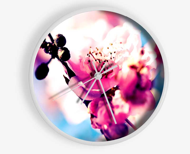 Beautiful Cherry Blossom Clock - Wallart-Direct UK