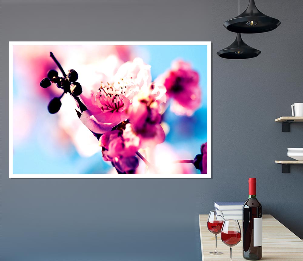 Beautiful Cherry Blossom Print Poster Wall Art