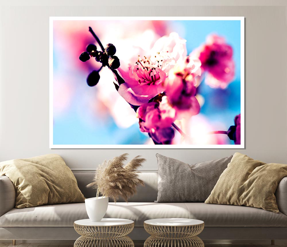 Beautiful Cherry Blossom Print Poster Wall Art