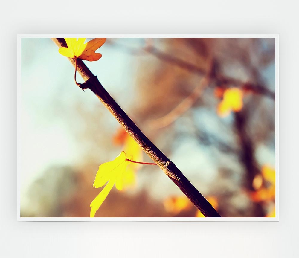 Autumn 2 Print Poster Wall Art