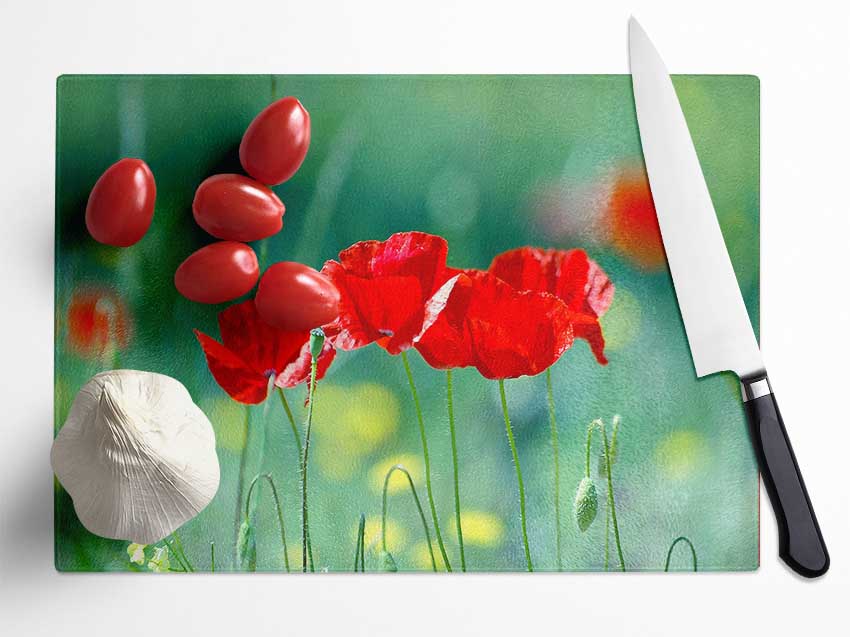 Summer Poppies Glass Chopping Board