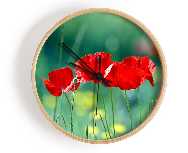 Summer Poppies Clock - Wallart-Direct UK