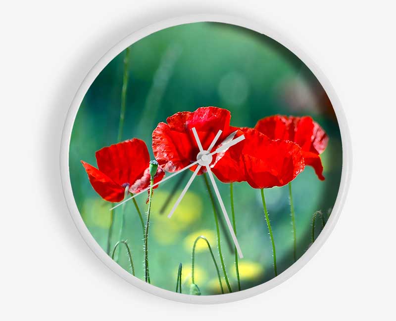 Summer Poppies Clock - Wallart-Direct UK