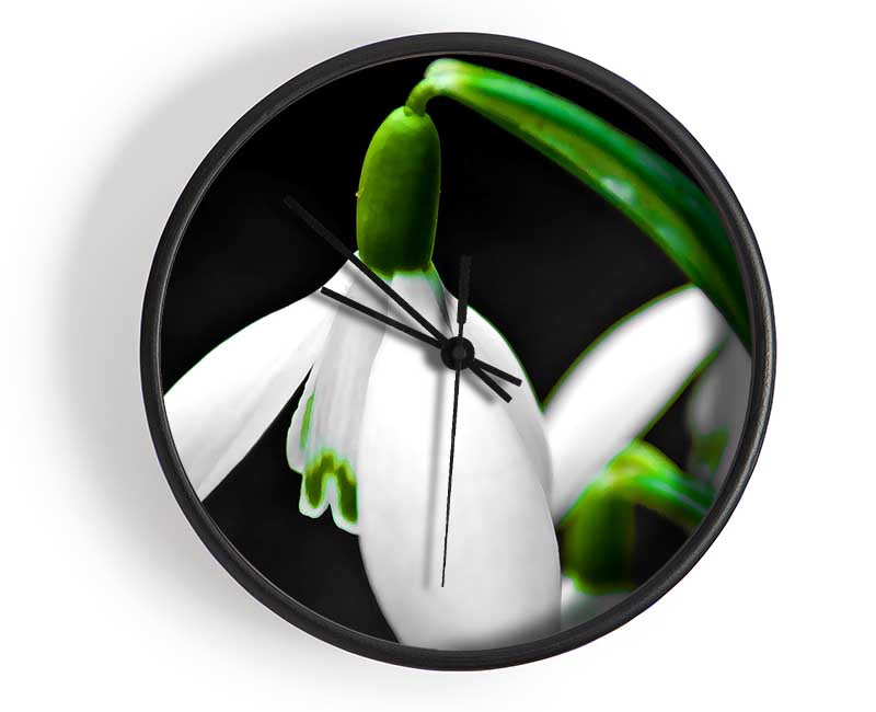 Snowdrop Flower Clock - Wallart-Direct UK