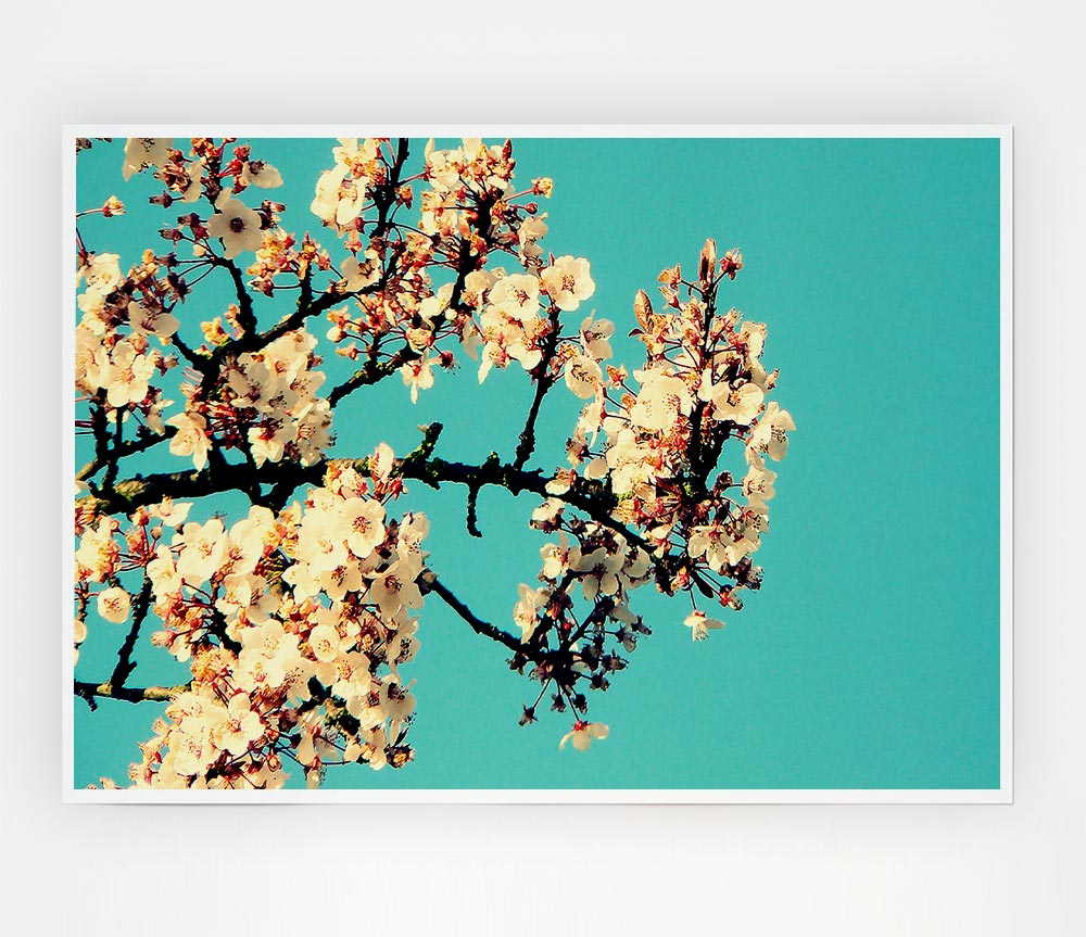 Blossom Tree Against A Blue Sky Print Poster Wall Art