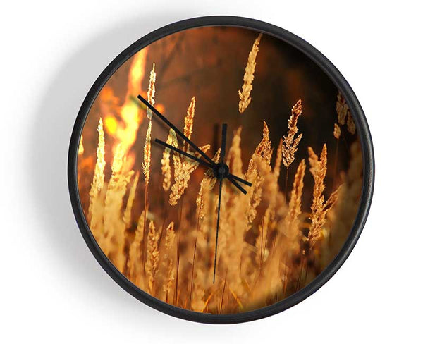 Golden Field Clock - Wallart-Direct UK