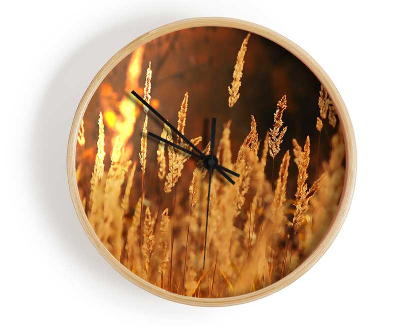 Golden Field Clock - Wallart-Direct UK