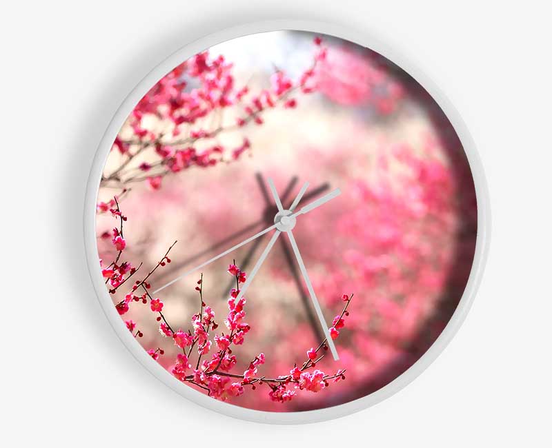 Spring Signs Clock - Wallart-Direct UK