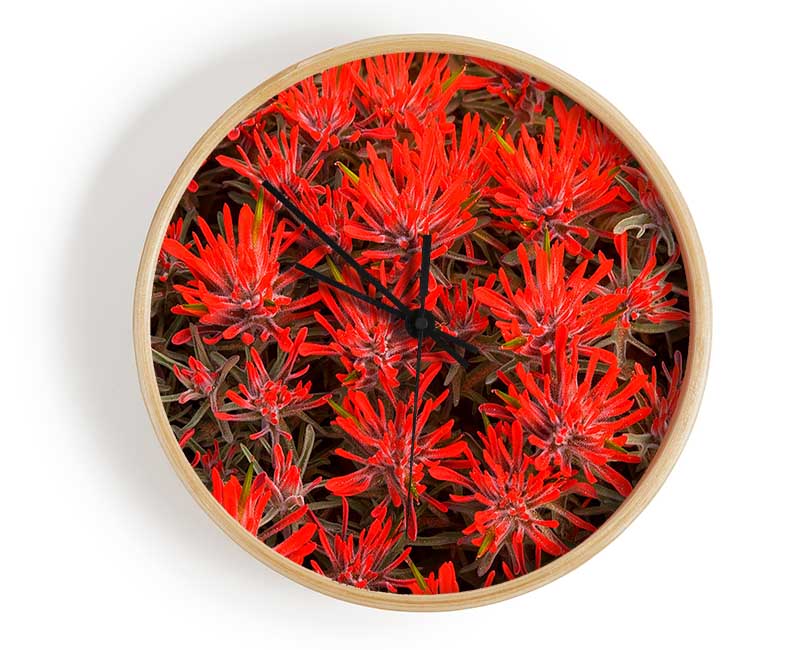 Red Paintbrush Utah Clock - Wallart-Direct UK