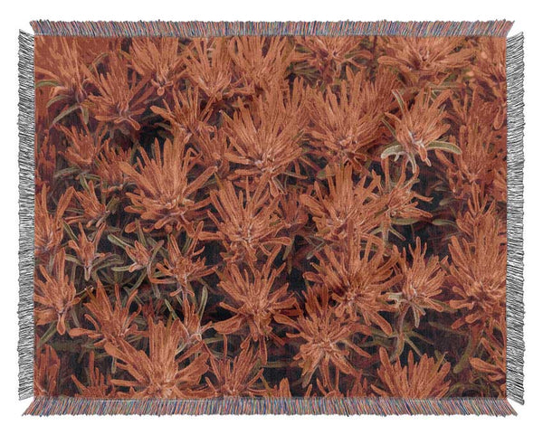 Red Paintbrush Utah Woven Blanket