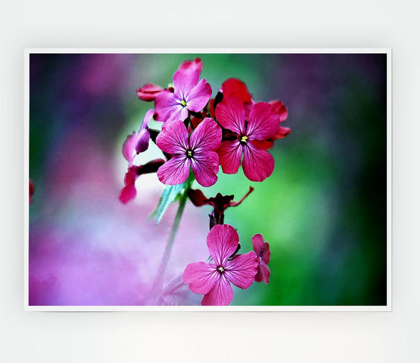 Fresh Flowers In The Garden Print Poster Wall Art