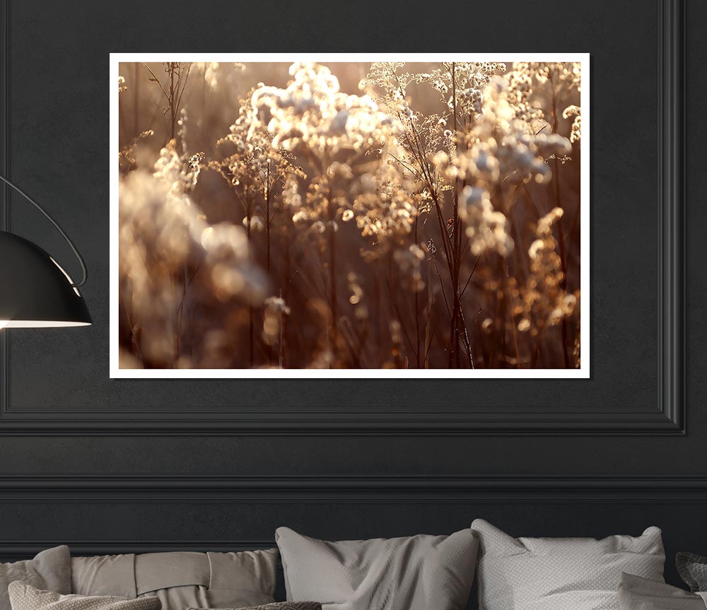 Winter Sunlight Flowers Print Poster Wall Art