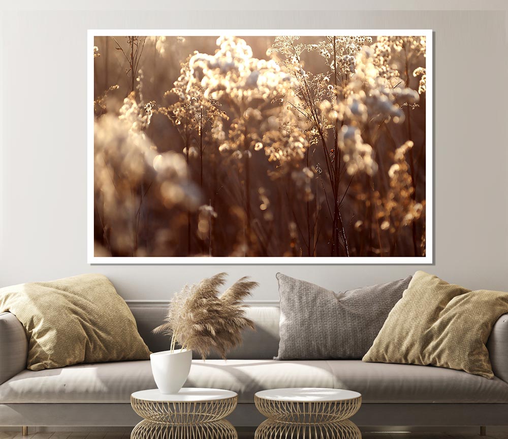 Winter Sunlight Flowers Print Poster Wall Art