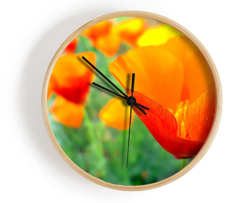 California Poppies Orange Clock - Wallart-Direct UK