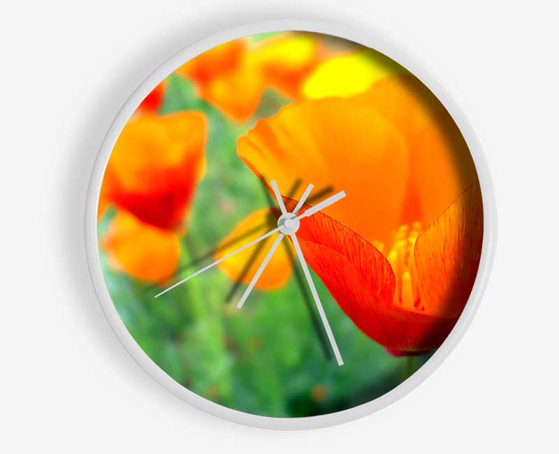 California Poppies Orange Clock - Wallart-Direct UK