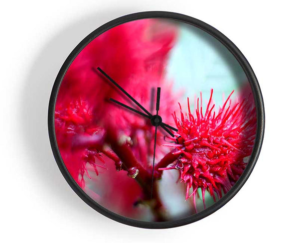 Spikey Flower Heads Clock - Wallart-Direct UK