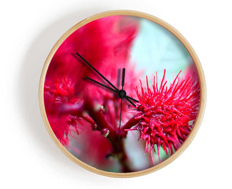 Spikey Flower Heads Clock - Wallart-Direct UK