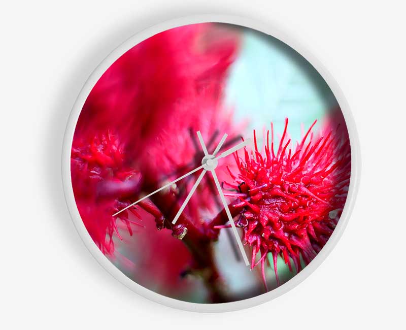 Spikey Flower Heads Clock - Wallart-Direct UK