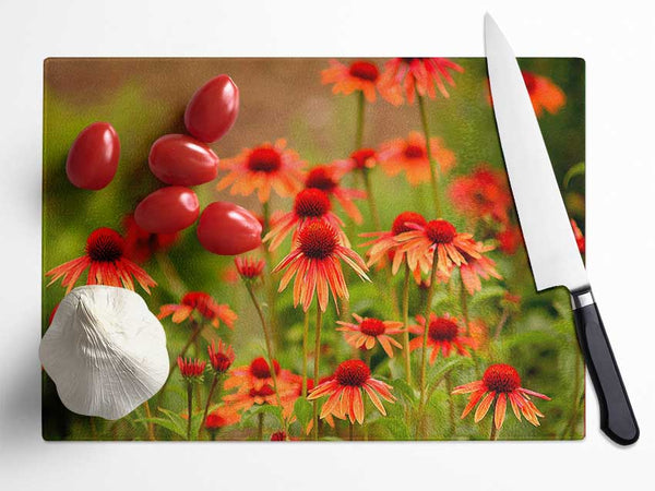 Variety Daisies Glass Chopping Board