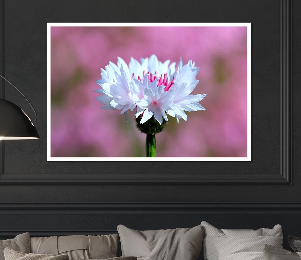 Tiny Flower Print Poster Wall Art