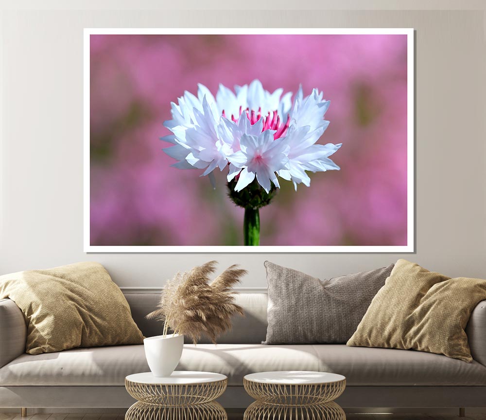 Tiny Flower Print Poster Wall Art