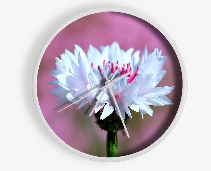 Tiny Flower Clock - Wallart-Direct UK