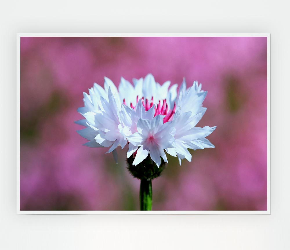 Tiny Flower Print Poster Wall Art