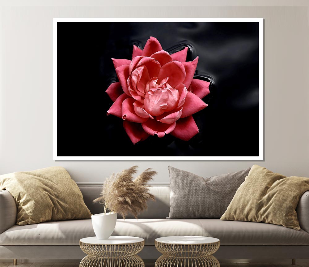 Floating Flower Print Poster Wall Art