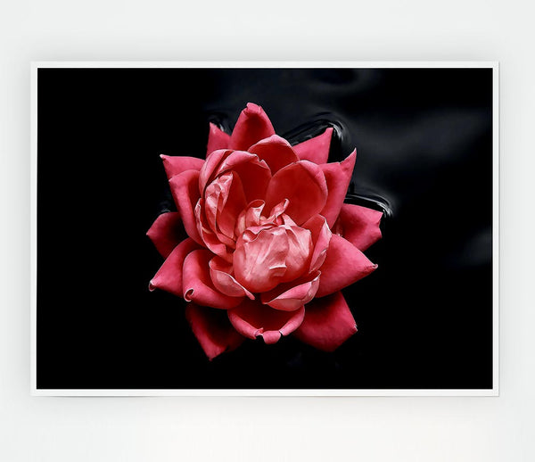 Floating Flower Print Poster Wall Art