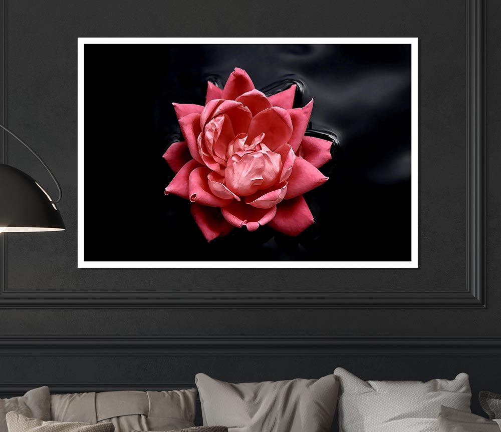 Floating Flower Print Poster Wall Art