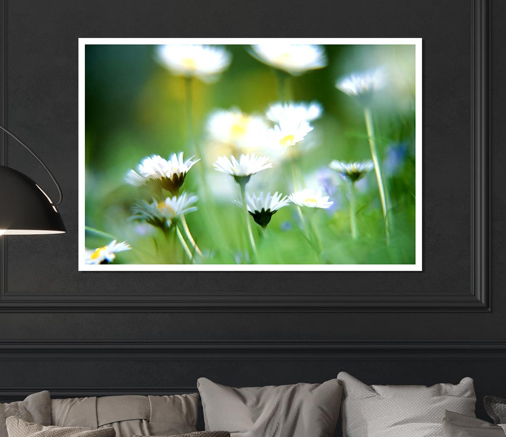 Blurry Daisies Print Poster Wall Art