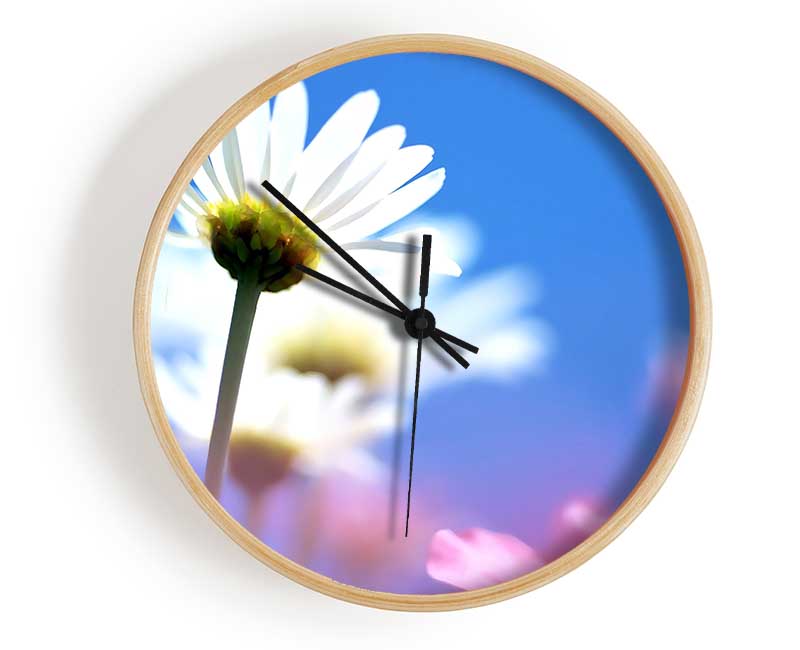 Daisies In The Sky Clock - Wallart-Direct UK