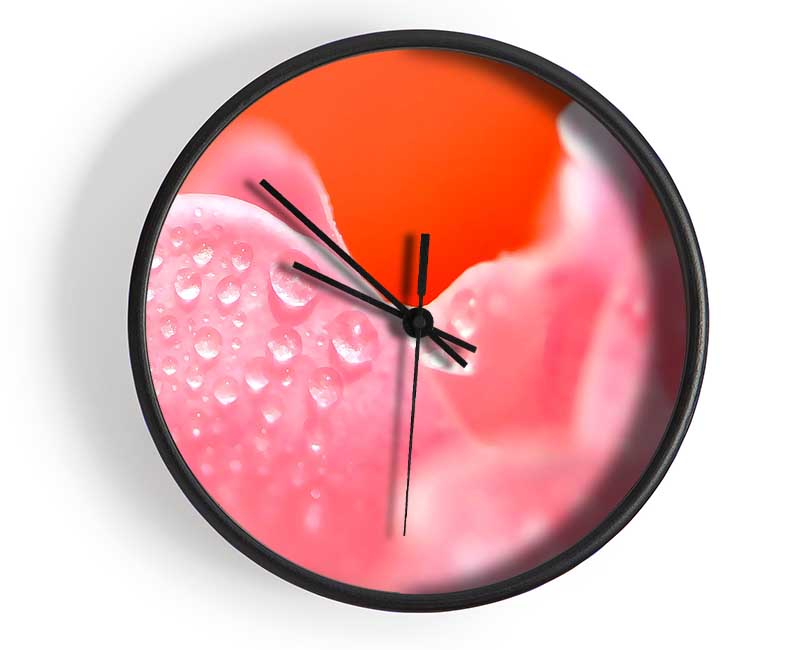 Pink Rose Dew Drop Clock - Wallart-Direct UK