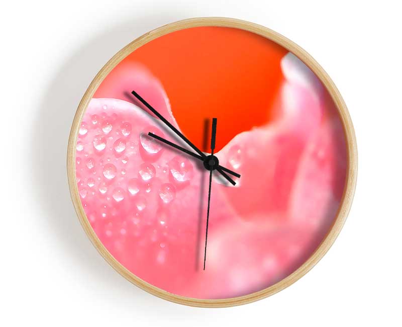 Pink Rose Dew Drop Clock - Wallart-Direct UK