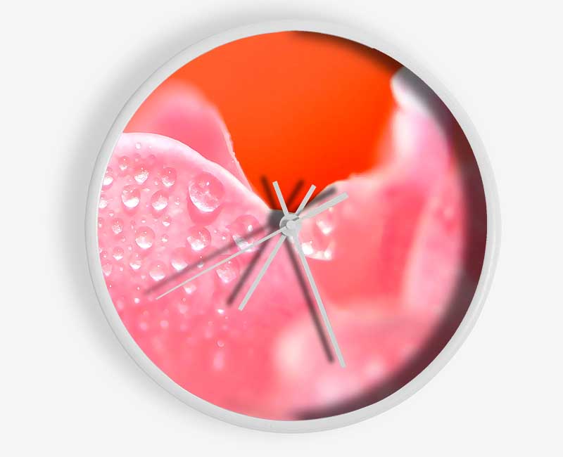 Pink Rose Dew Drop Clock - Wallart-Direct UK