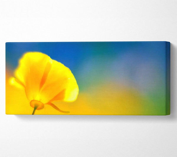 California Poppy Yellow