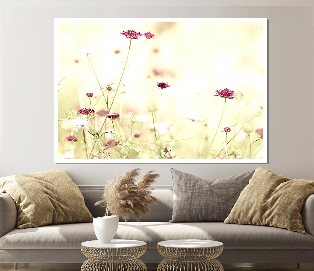 Wildflowers In Stunning Sunlight Print Poster Wall Art