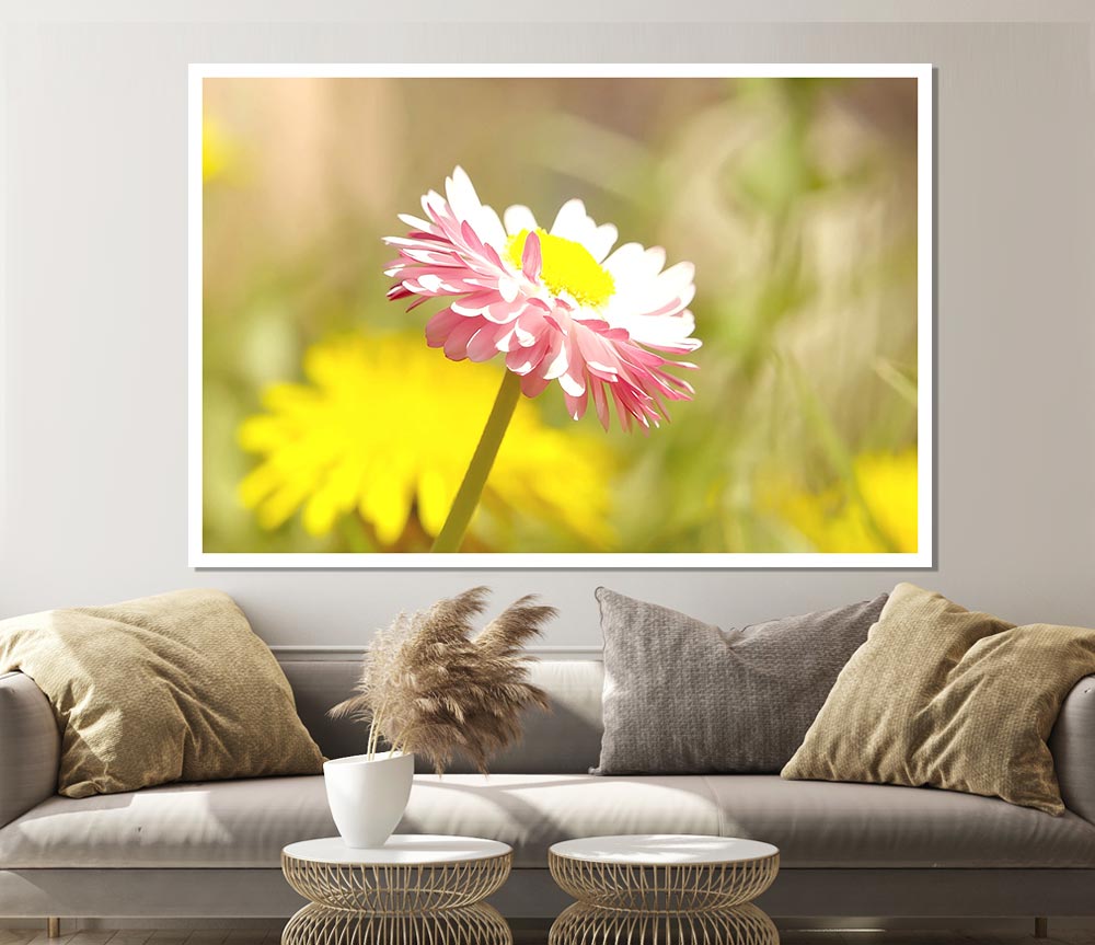 Beautiful Summer Pink Flower Print Poster Wall Art