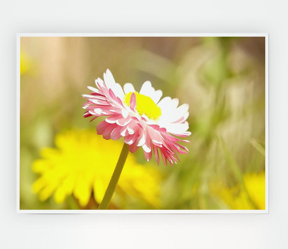 Beautiful Summer Pink Flower Print Poster Wall Art