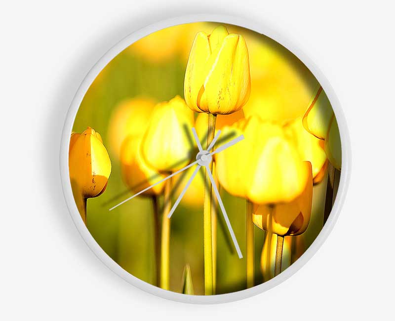 Yellow Tulips In The Garden Clock - Wallart-Direct UK