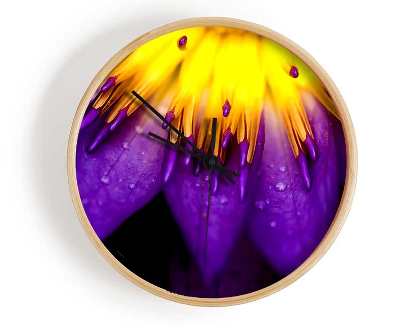 Water Lily Purple Yellow Clock - Wallart-Direct UK