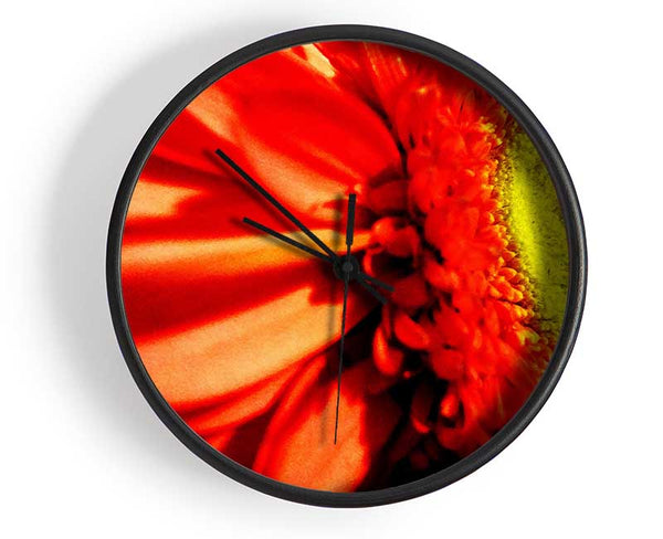 Close-up Of A Gerbera Clock - Wallart-Direct UK