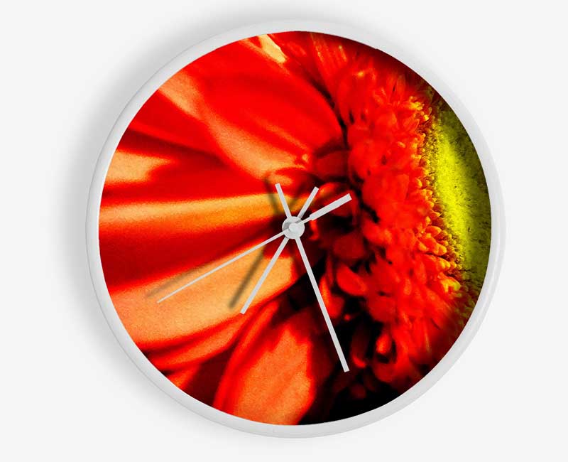 Close-up Of A Gerbera Clock - Wallart-Direct UK