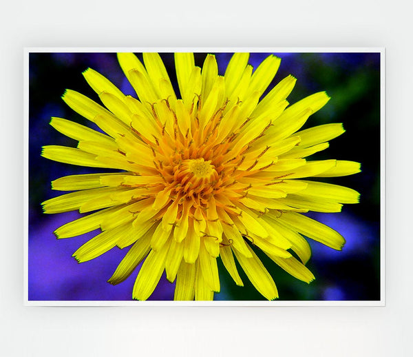 Yellow Wildflower Print Poster Wall Art