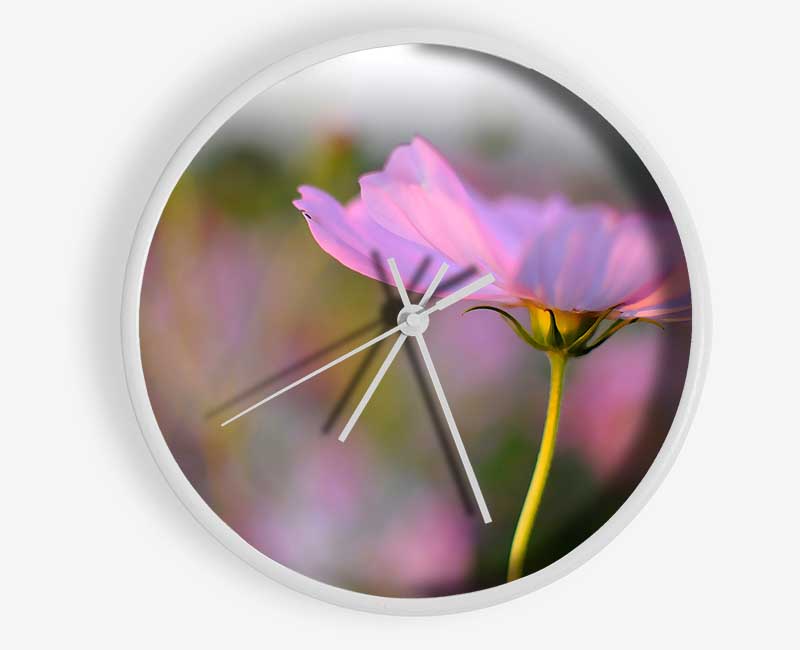 Another Side Of A Poppy Clock - Wallart-Direct UK